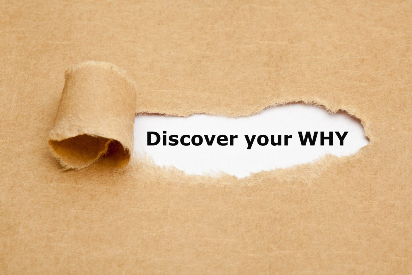 Purpose Driven Blog Image: Discover Your Why